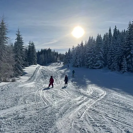 Exklusives Ferienhaus Am Waldrand - Ideal Fuer Familien & Freunde Sankt Lambrecht
