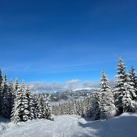 Auerling Am Wald - Ruhige Lage, Wander- Und Skiparadies * Sankt Lambrecht