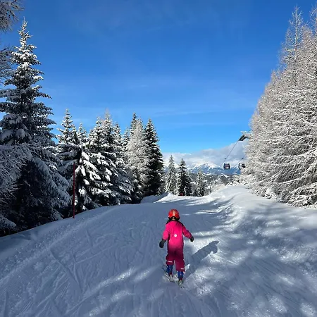 Chalet Auerling, Am Wald Mit Sauna, Kamin & Garten Sankt Lambrecht