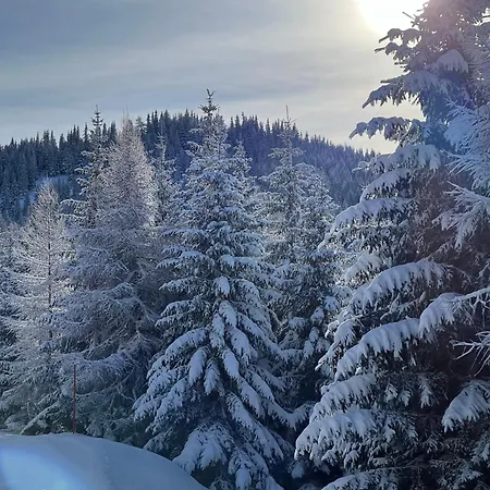 Exklusives Am Waldrand - Ideal Fuer Familien & Freunde *