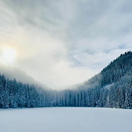 Auerling Am Wald - Ruhige Lage, Wander- Und Skiparadies Domek alpejski