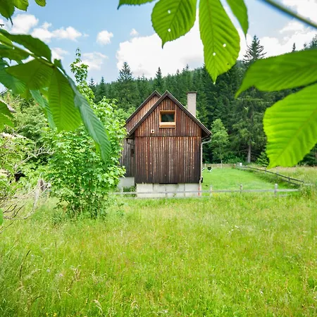 Auerling, Am Wald Mit Sauna, Kamin & Garten Sankt Lambrecht