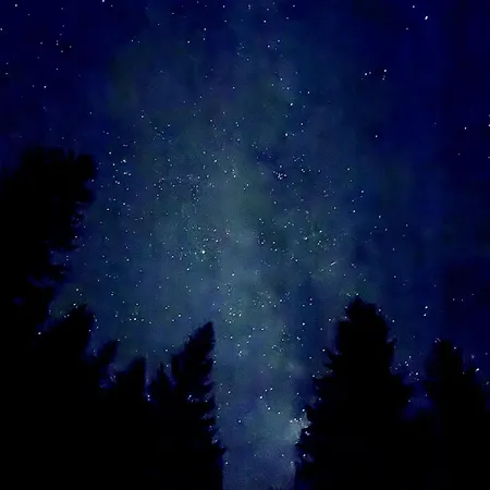 Exklusives Am Waldrand - Ideal Fuer Familien & Freunde *