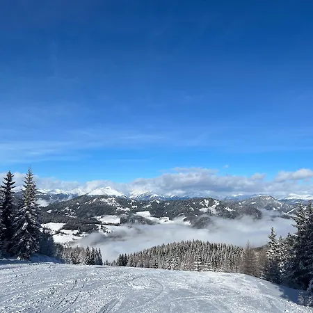 Auerling Am Wald - Ruhige Lage, Wander- Und Skiparadies Sankt Lambrecht