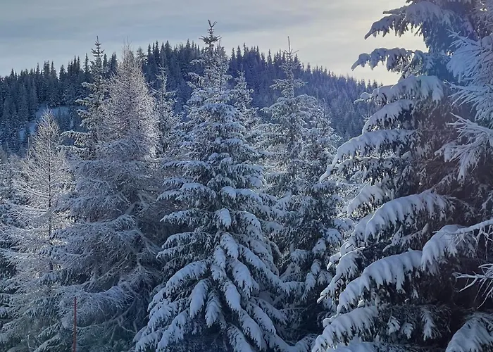 Auerling, Freistehendes Mit Sauna & Kamin Am Waldrand *